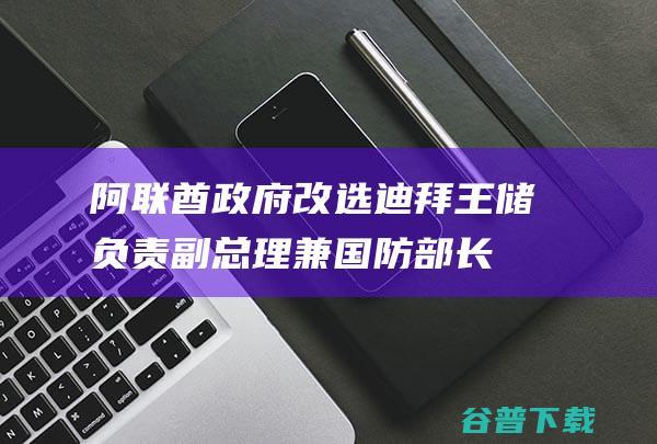 阿联酋政府改选 迪拜王储负责副总理兼国防部长 (阿联酋政府改名了吗)